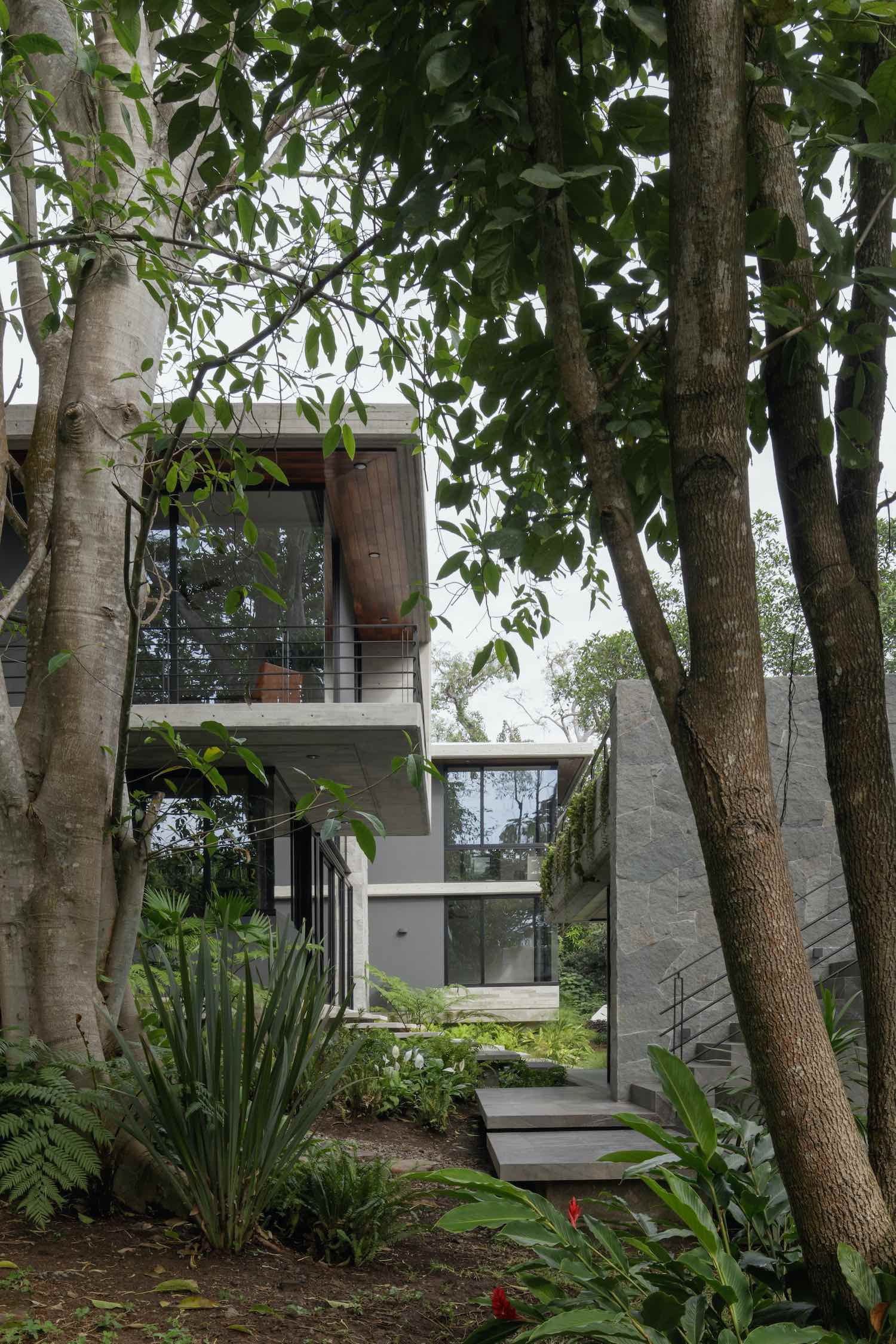 a concrete home located in the jungle 