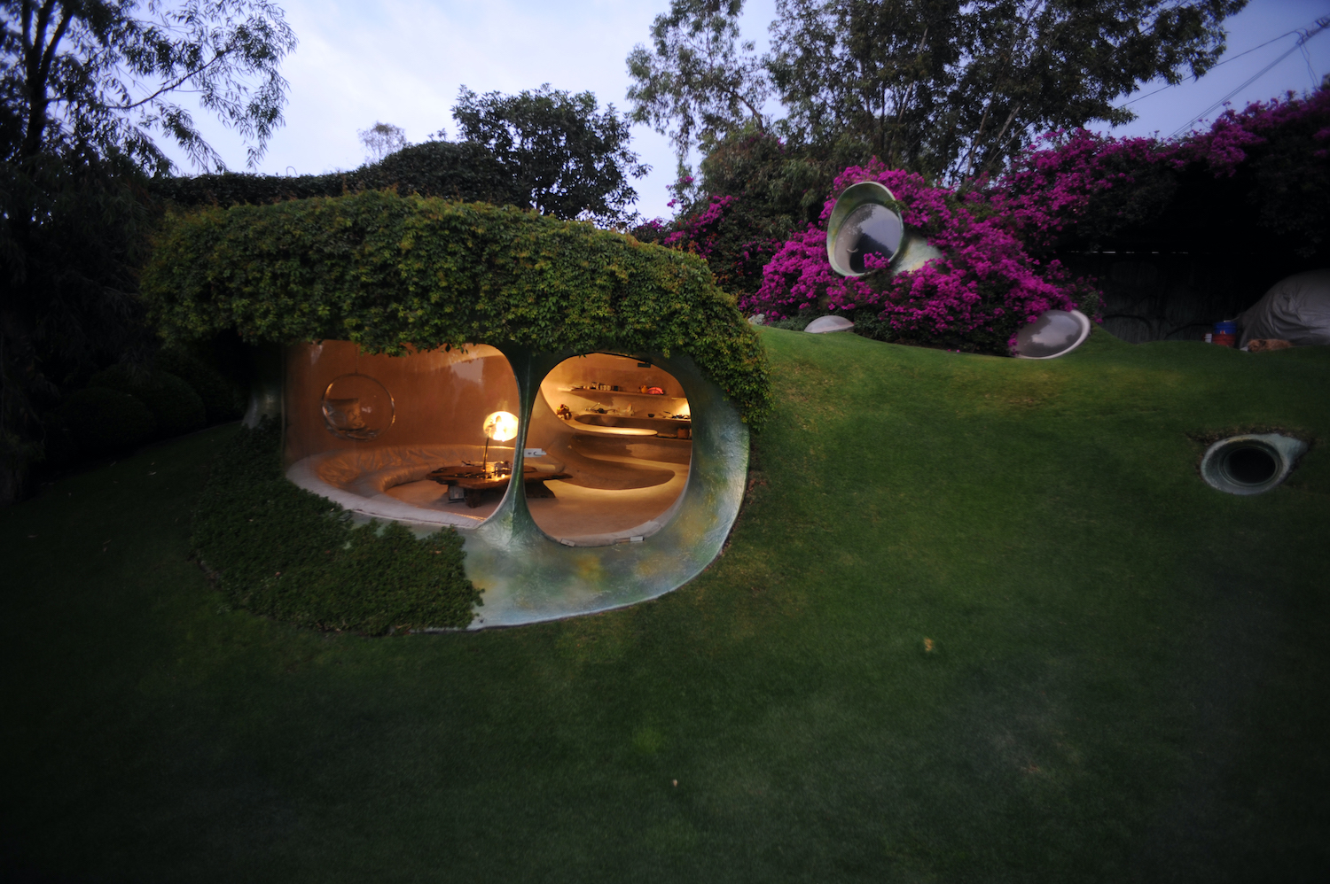 organic home in the shape of nutshell surrounded with green plants 