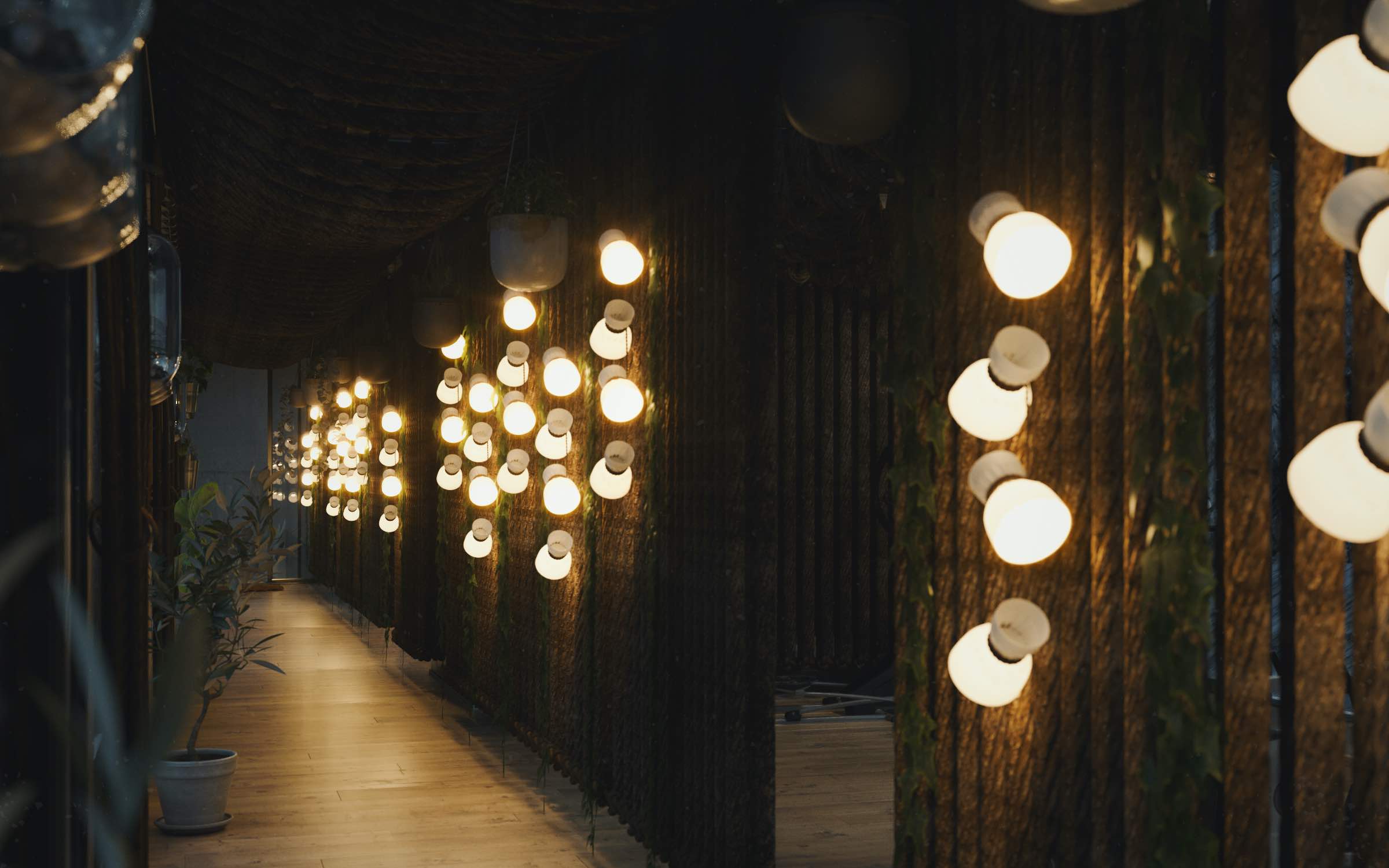 corridor illuminated with bulb light 