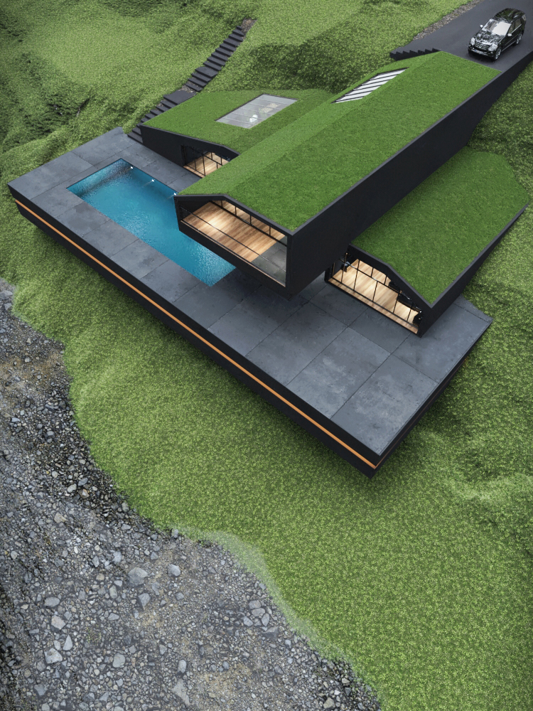 green roofed house with timing pool 