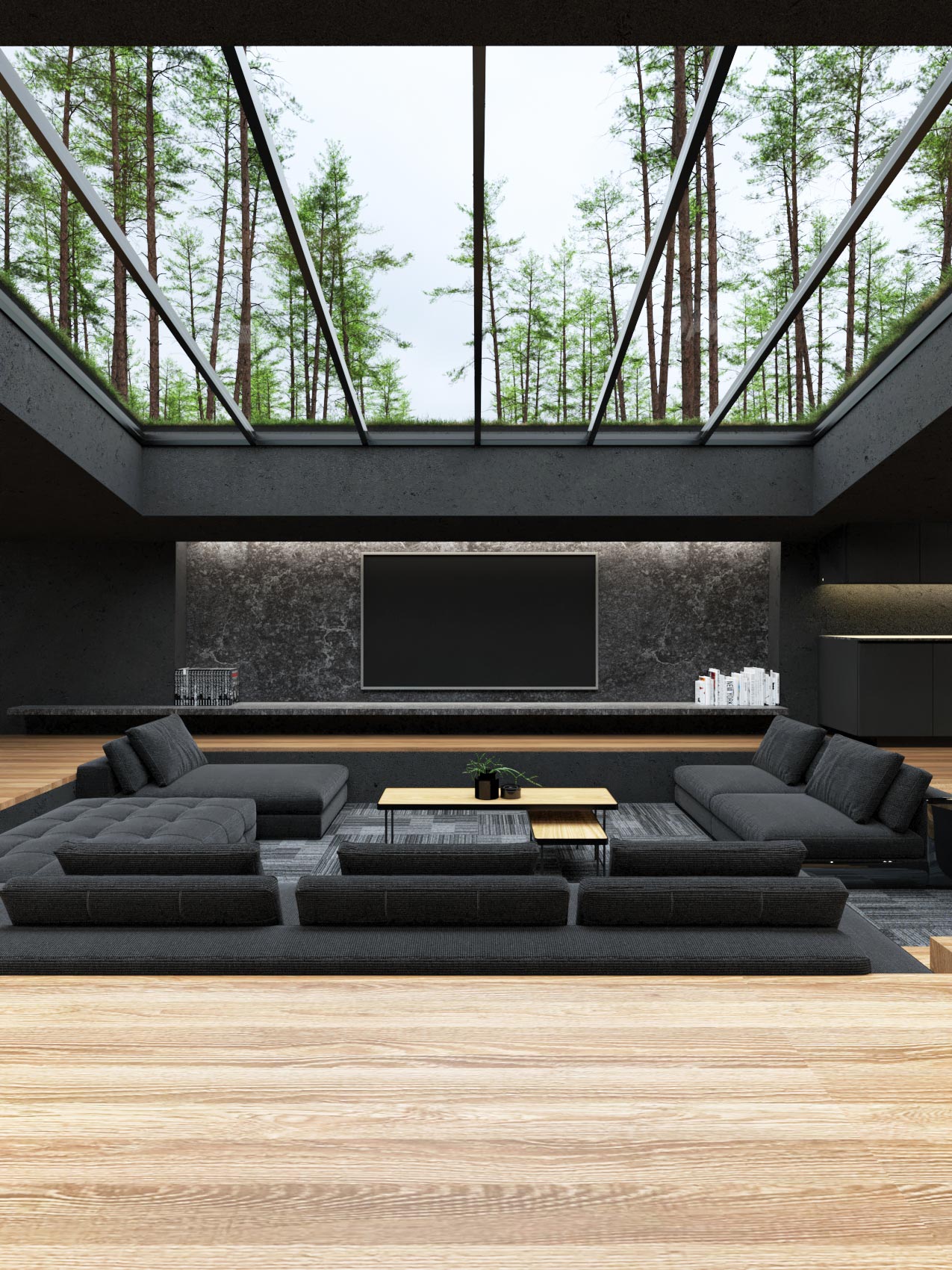 luxurious living space with skylight 