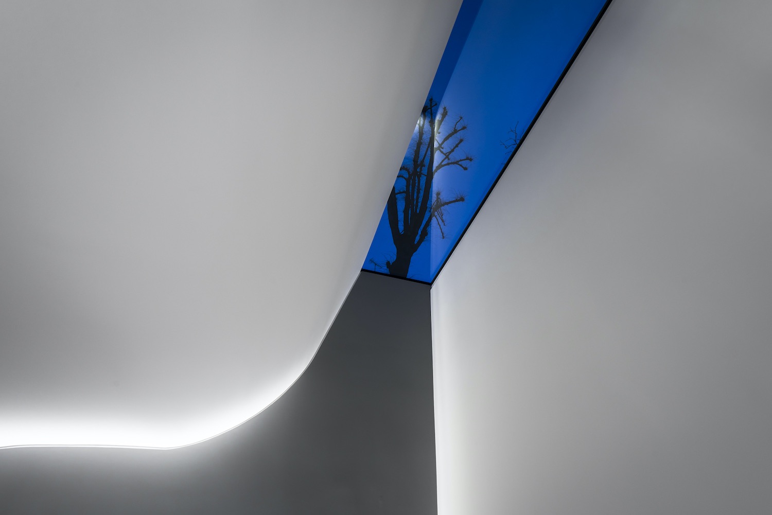 skylight in the ceiling