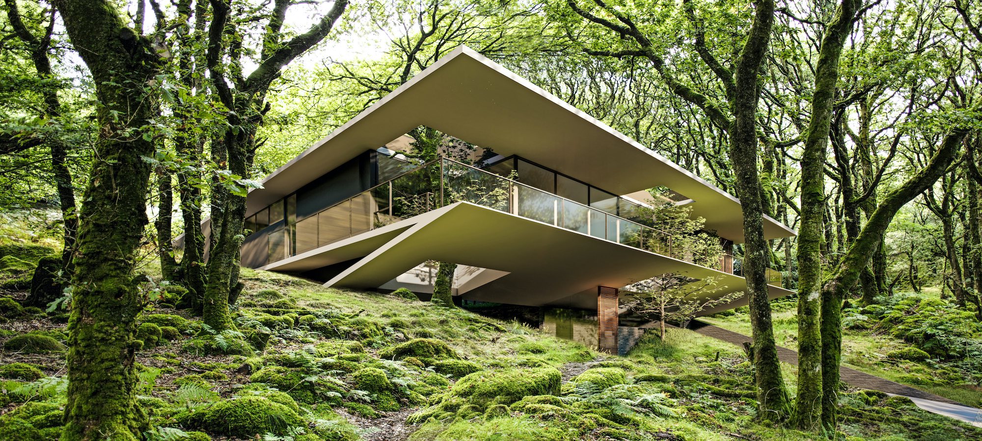 a modern house nested in to nature surrounded by trees 