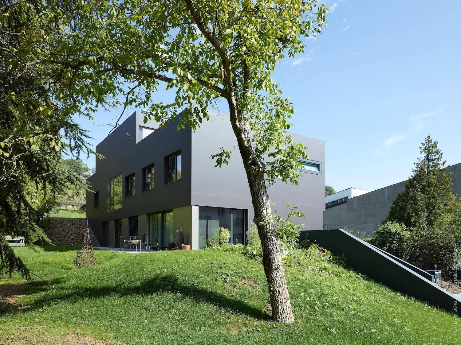 modern house surrounded with trees