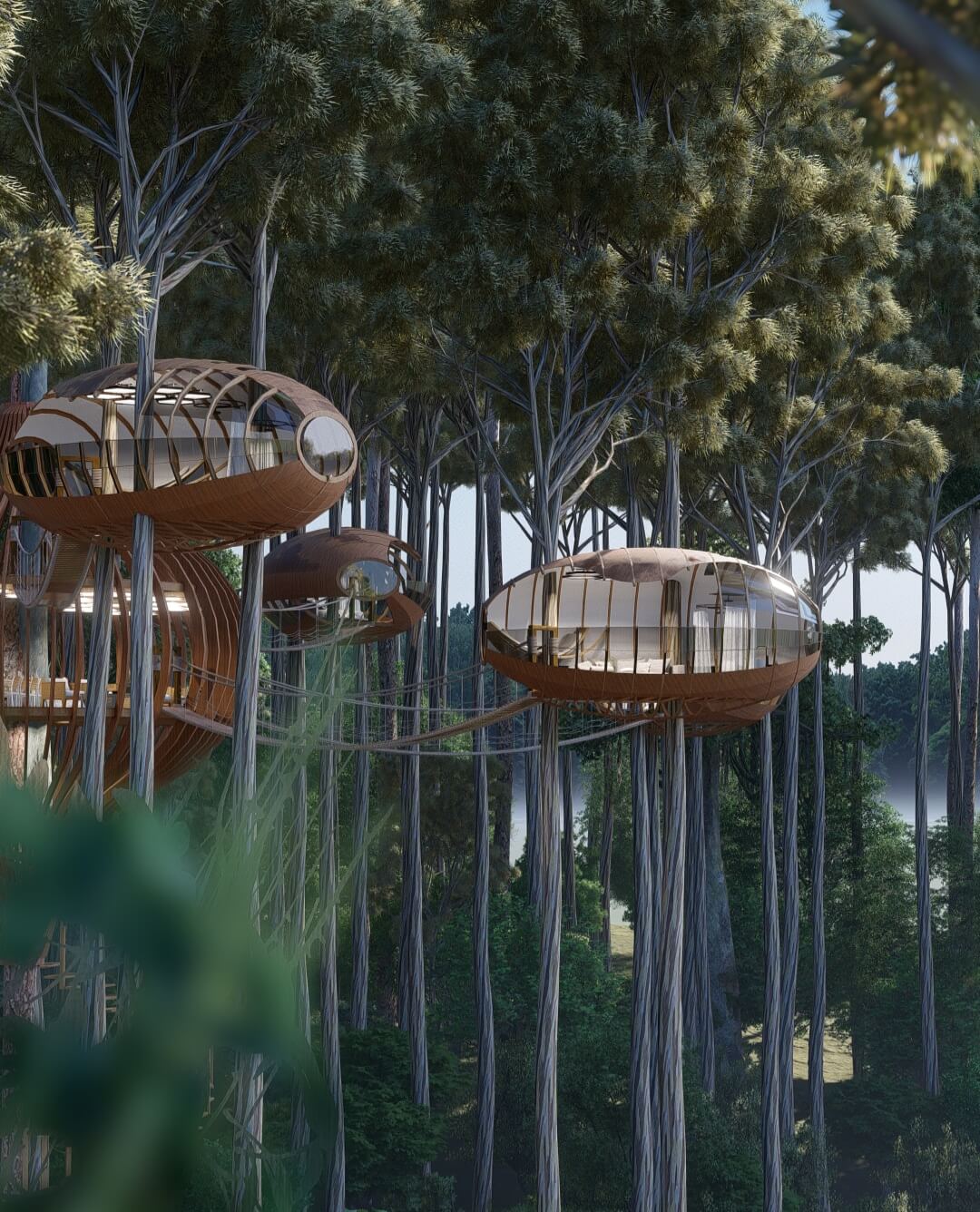 The nests cabins  Treehouse hotels desig Visualization